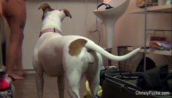 hotest latina chick porn